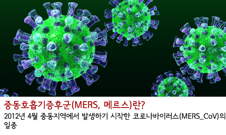 MERS.png