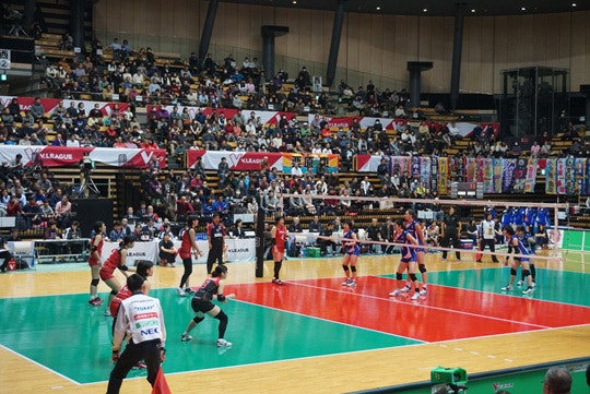 DSC06049.jpg