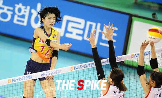 서브_이재영.jpg