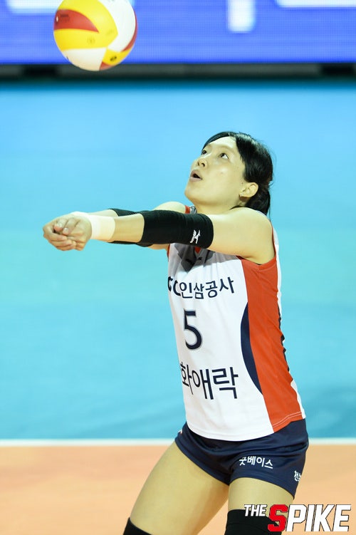 160927_IBK_노란YW.jpg