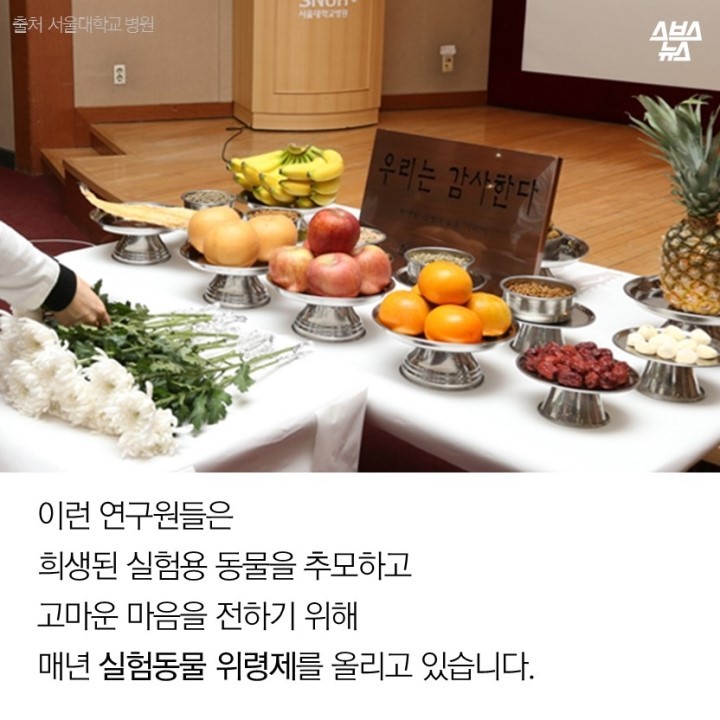 슬라이드10.JPG