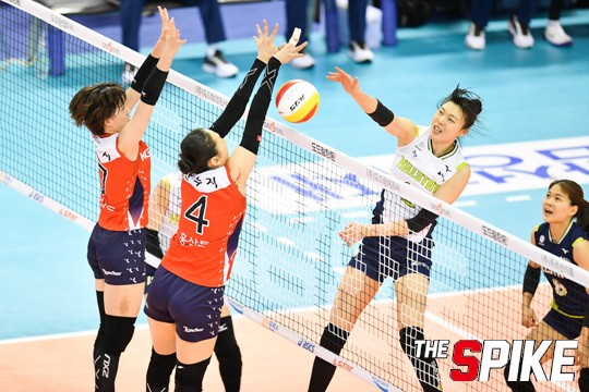 YYW_3095.jpg