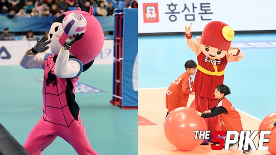 핑키_홍이장군.jpg